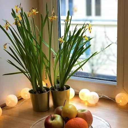 Wilcza 54 Prywatne Mieszkanie Z Balkonem W Centrum 400m Od Dworca Centralnego Samodzielne Zameldowanie! Self Check-in System! * Varšava